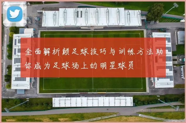 全面解析颠足球技巧与训练方法助你成为足球场上的明星球员