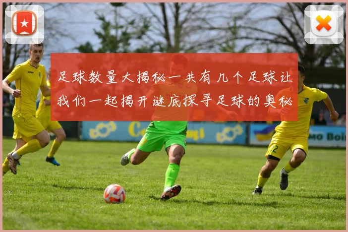 足球数量大揭秘一共有几个足球让我们一起揭开谜底探寻足球的奥秘与乐趣