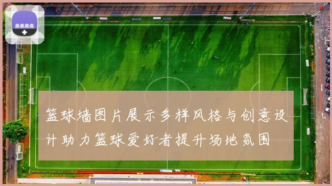 篮球墙图片展示多样风格与创意设计助力篮球爱好者提升场地氛围