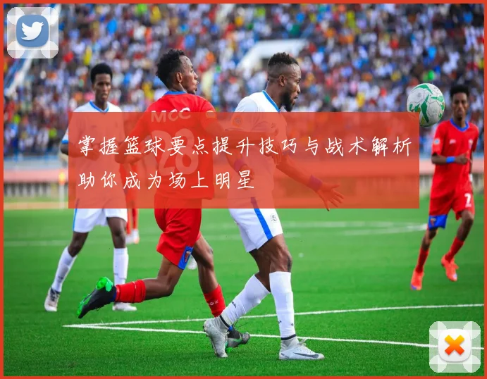 掌握篮球要点提升技巧与战术解析助你成为场上明星