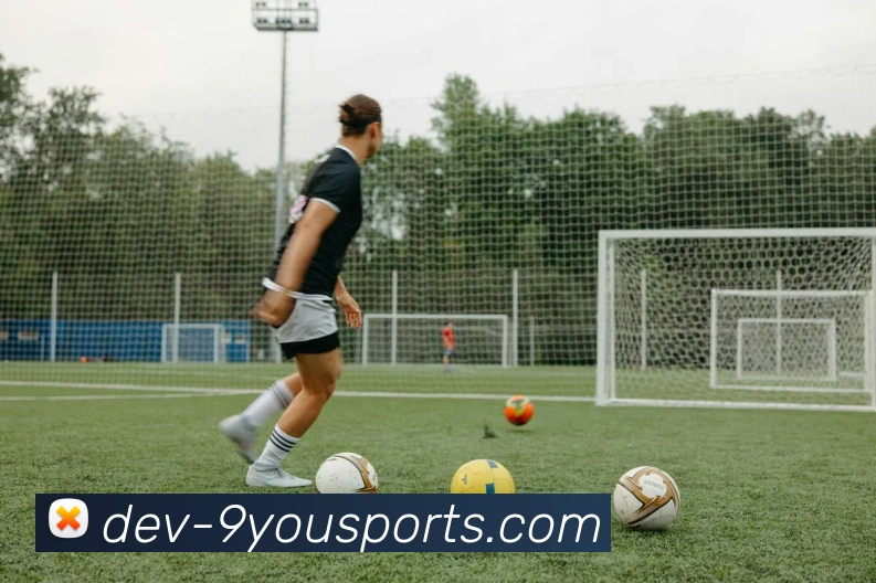 九游体育服务体系